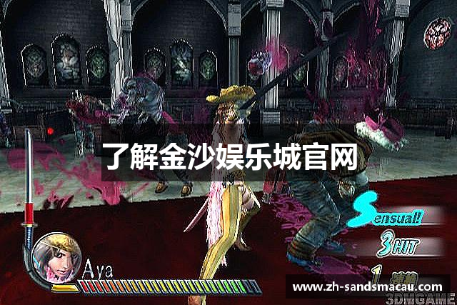 了解金沙娱乐城官网